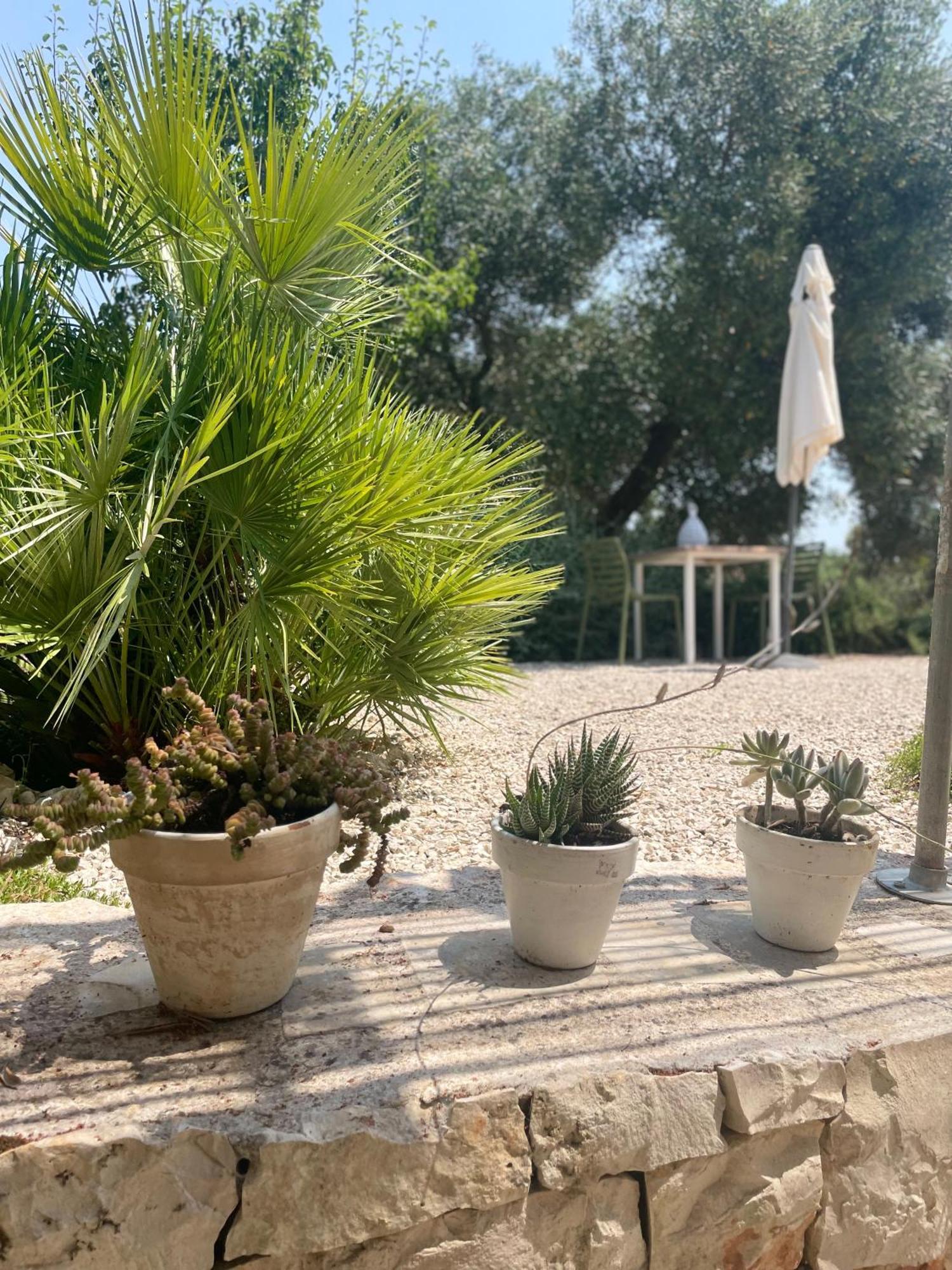 Casa Della Scrittrice Bed & Breakfast Ostuni Room photo