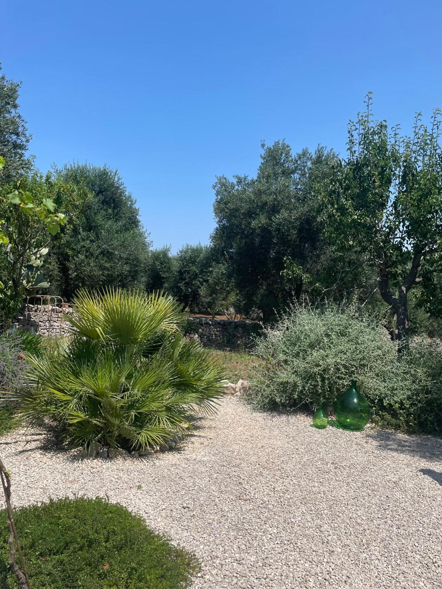 Casa Della Scrittrice Bed & Breakfast Ostuni Room photo